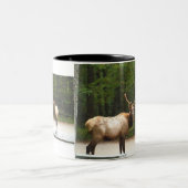 2 Rocky Mountain Elk Tweekleurige Koffiemok (Center)