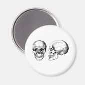 2 schedels wit magneet (Voorkant / Achterkant)