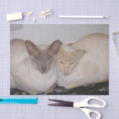2 siamezen tissuepapier (Craft)