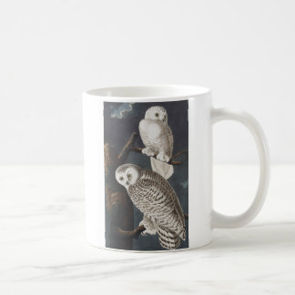 2 Snowy Owls Mok