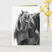 2 Stallions de l'île de Sable Carte de voeux Cheva (Fleur jaune)