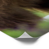 2 Timothy 1:7 Poster (Hoek)