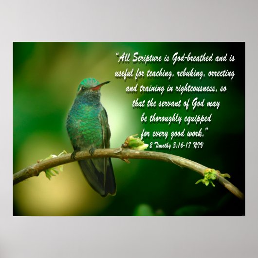 2 Timothy 3:16-17 Christelijk Poster Hummingbird (Voorkant)