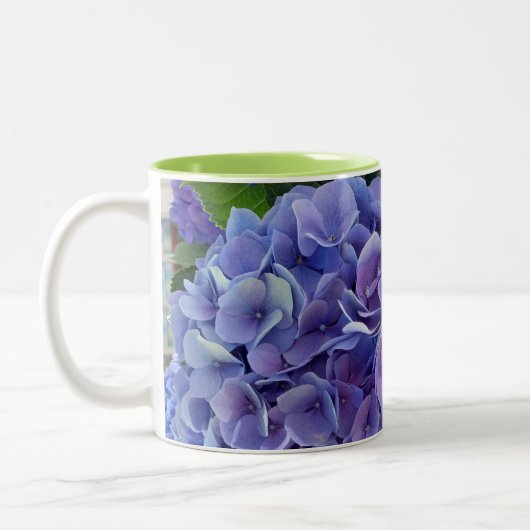 2-Tone Mok Blue Hydrangea (Links)