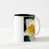 2-tonige mok - Witte affodil met geel midden (Voorkant rechts)