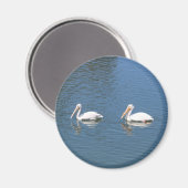 2 witte pelikans magnet magneet (Voorkant / Achterkant)