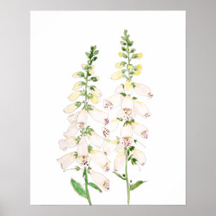 2 witte voxhandschoenen bloemen bloesems bloesem i poster