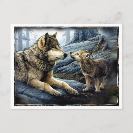 2 Wolven Briefkaart (Voorkant)
