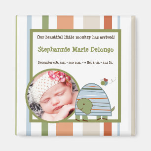 2"x2" Aankondiging Magnet Laguna Beach Turtle Frog Magneet