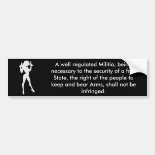 2de amendement bumpersticker