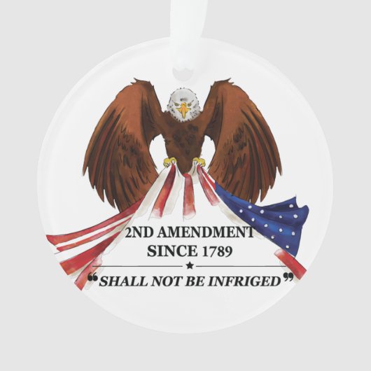 2e amendement Oreiller (devant)