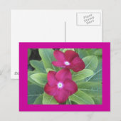 2e carte postale (Devant / Derrière)