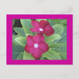 2e carte postale