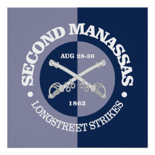 2nd Manassas (B&G) Perfect Poster
