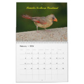 2yr. Oiseaux deplicting de calendrier commençant (Feb 2026)