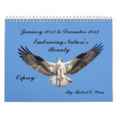 2yr. Oiseaux deplicting de calendrier commençant (Protection)