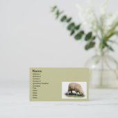 300_2A0019 SCHAPENLAMB Graasdieren Visitekaartje (Staand voorkant)