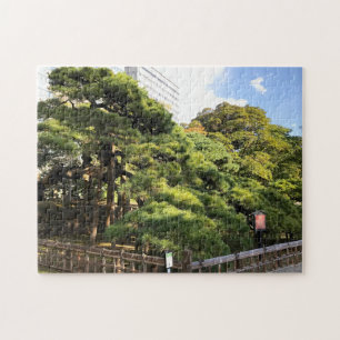 300 Jaar Oude Dennenbomen Legpuzzel
