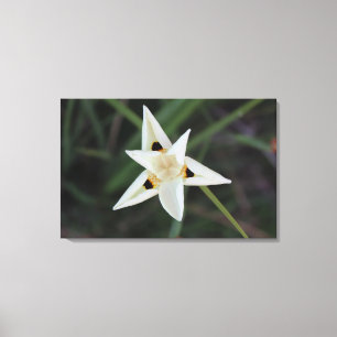 30 april Tuin Bloemen Canvas Afdruk