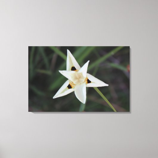 30 avril Toile de Fleur Jardin (Recto)