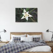 30 avril Toile de Fleur Jardin (Insitu(Chambre))