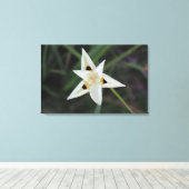 30 avril Toile de Fleur Jardin (Insitu (Plancher de Bois))