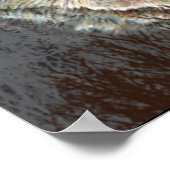 30 Banner-leider van de "Pack Wolf" Poster (Hoek)