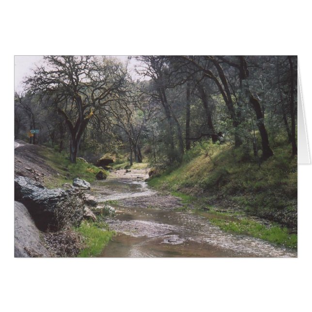 30. California Stream (Devant horizontal)