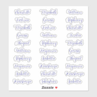 30 gast voornaam typografie elegante script sticker