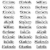 30 Guest Names Stickers For Place Cards and Favors (Devant)