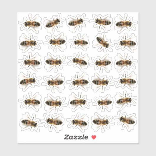30 Levensgrote Stickers van honingbijen (Vel)
