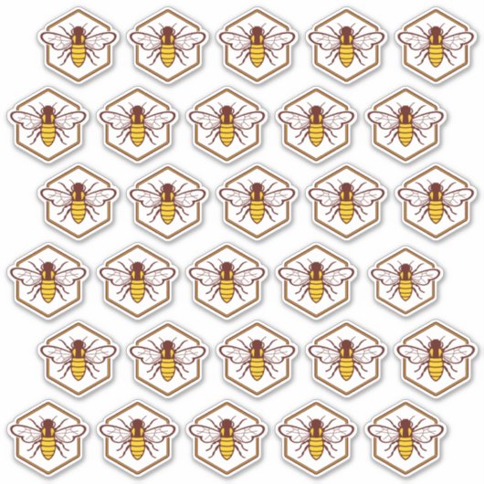 30 Stickers de sécurité Étiquette de nid d'abeille (Devant)