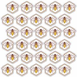 30 Stickers voor beveiliging van het etiket van ho