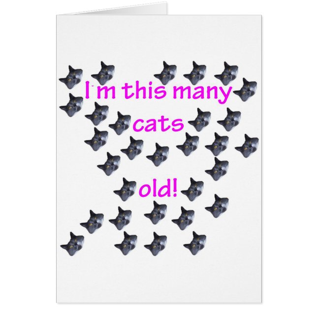 30 têtes de chat vieilles (Devant)