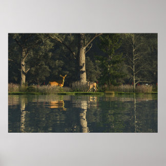 30" x 24" papier Poster met "Geschrokken" afbeeldi