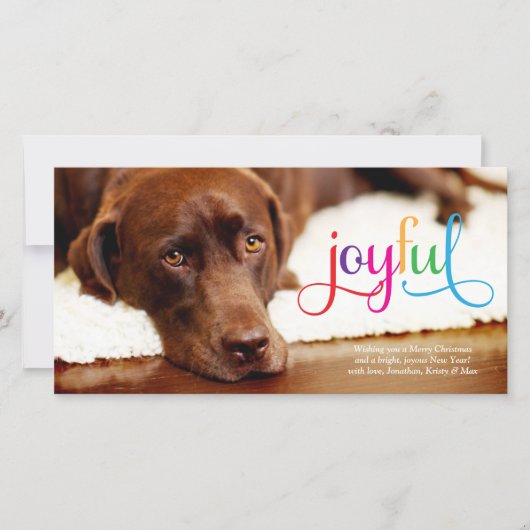 311 Colorful Joyful Pet Carte de Noël (Devant)