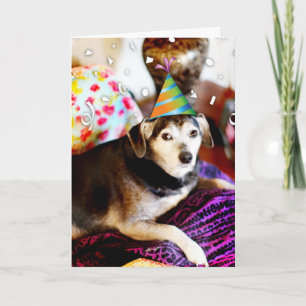 311 Gefeliciteerd met je pensioen! Kaart