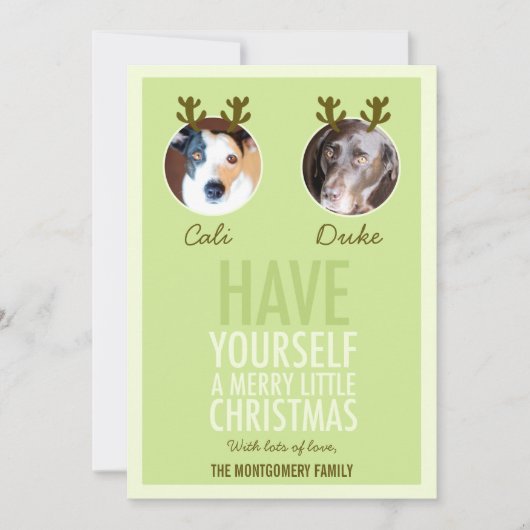 311 Moss Green Pet Antler Carte photo de vacances (Devant)