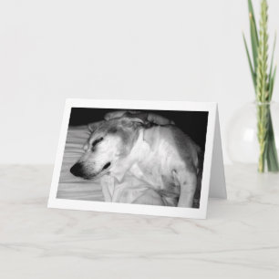 311 Retirement Rocks-kaart Kaart