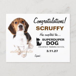 311-Super Duper Dog Certificaat Briefkaart