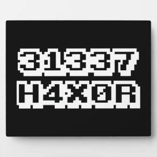 31337 H4X0R FOTOPLAAT