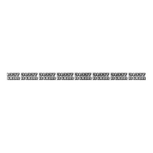 31337 H4X0R LINT (Voorkant)