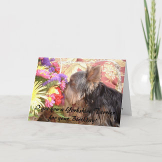 314855-7661677, ik heb je een Yorkshire Terrier... Kaart