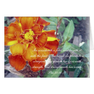 31:16 de ~ de collection des proverbes 31 pro - 17