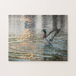 3274-Mannelijke Mallard Splashing in Vijver Puzzel