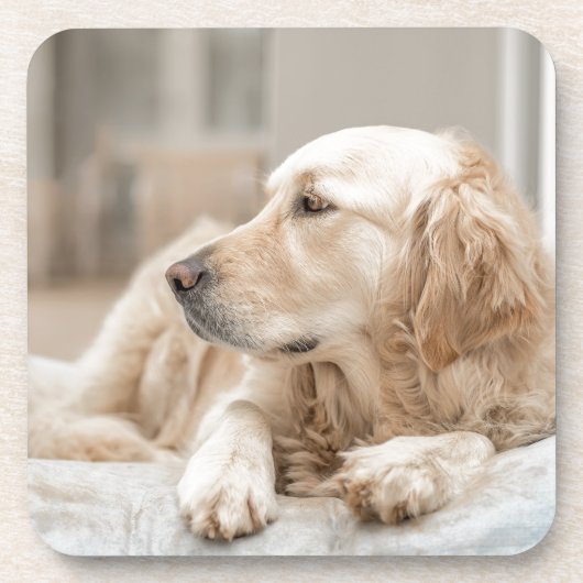 34137641_xxl bier onderzetter (Voorkant)