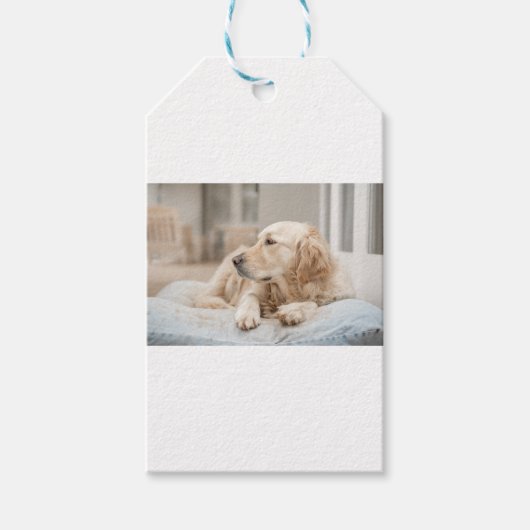 34137641_xxl cadeaulabel (Voorkant)