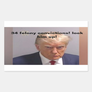 34 veroordelingen sluiten hem op Donald Trump Rechthoekige Sticker