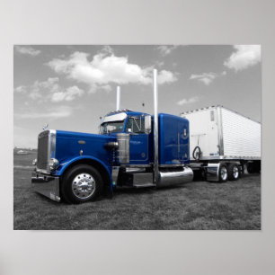 359 Nolt (zwart-wit bewerken) Poster