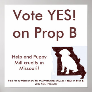 35-inch bij 35-inch - JA! op Prop B-Poster Poster